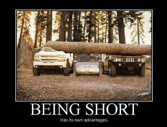 funny-meme-wof-78.jpg