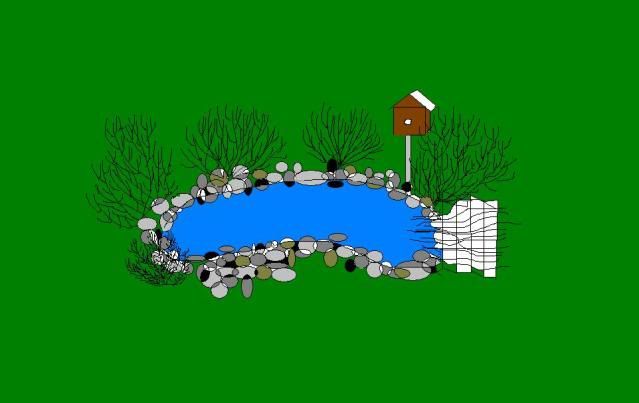 duckpond2.jpg