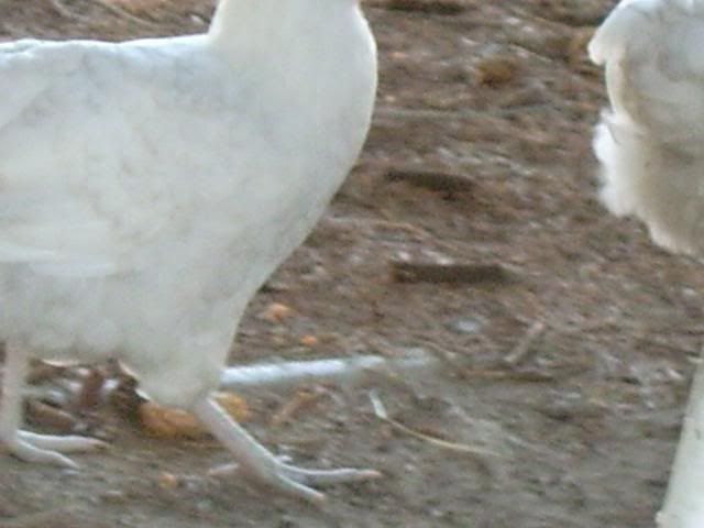 a564cb64.jpg