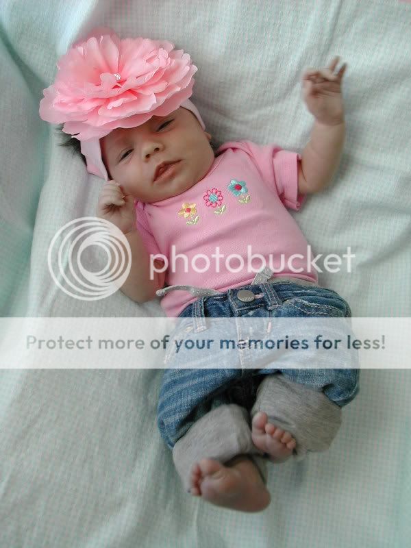 DSCN5539.jpg