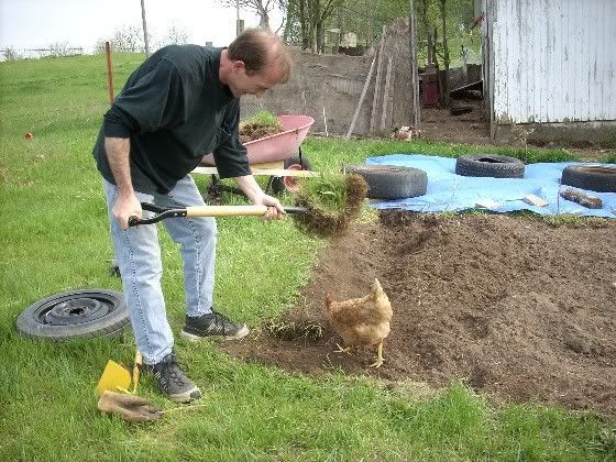 bellahelpingdiggingupgarden.jpg