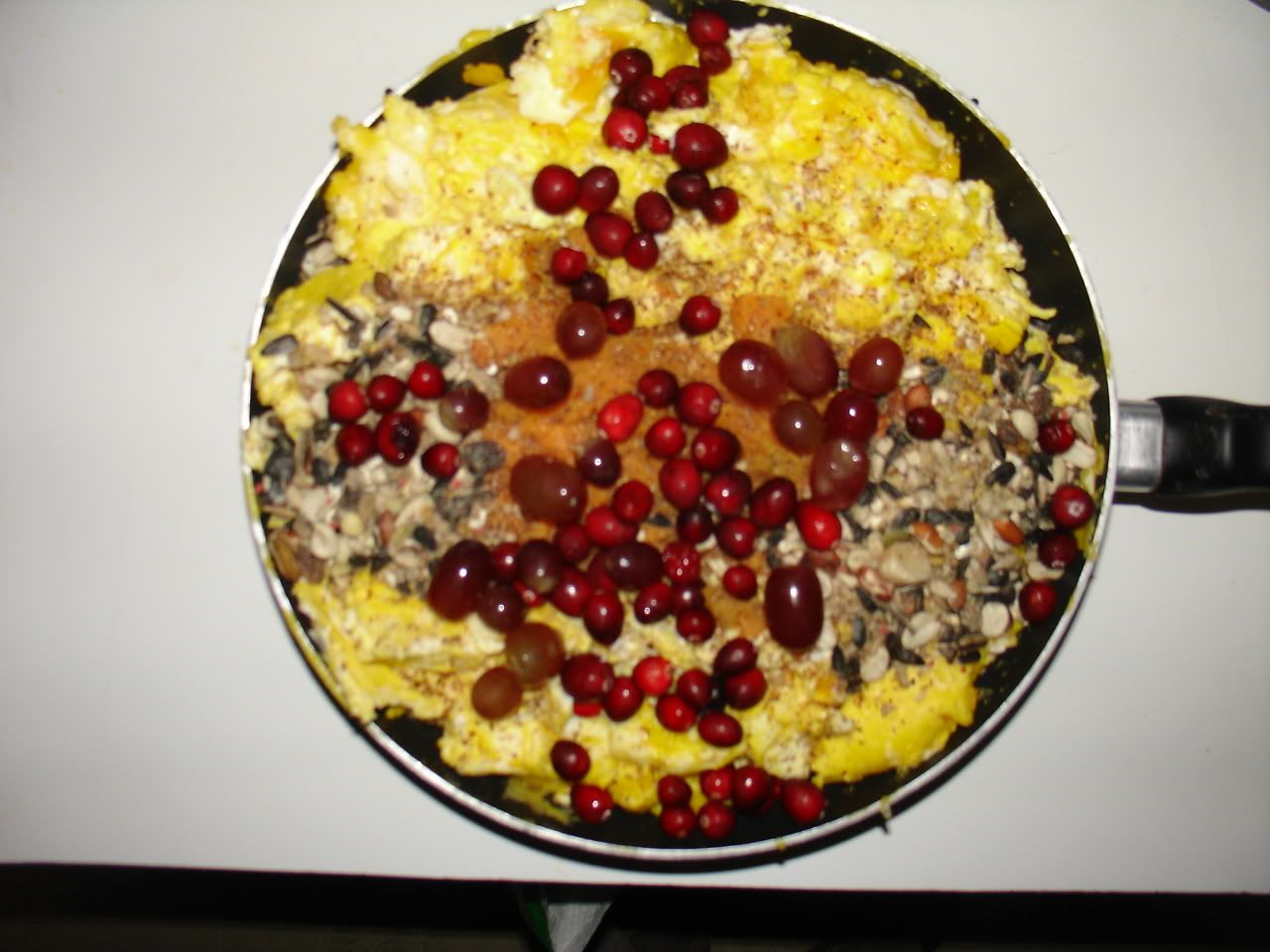 DSC01487.jpg