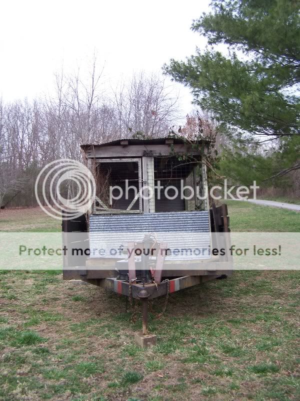 ChickenCoops2011-2.jpg