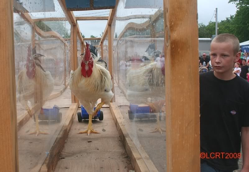 IMG_6561_poultryfest_LCRT2008.jpg