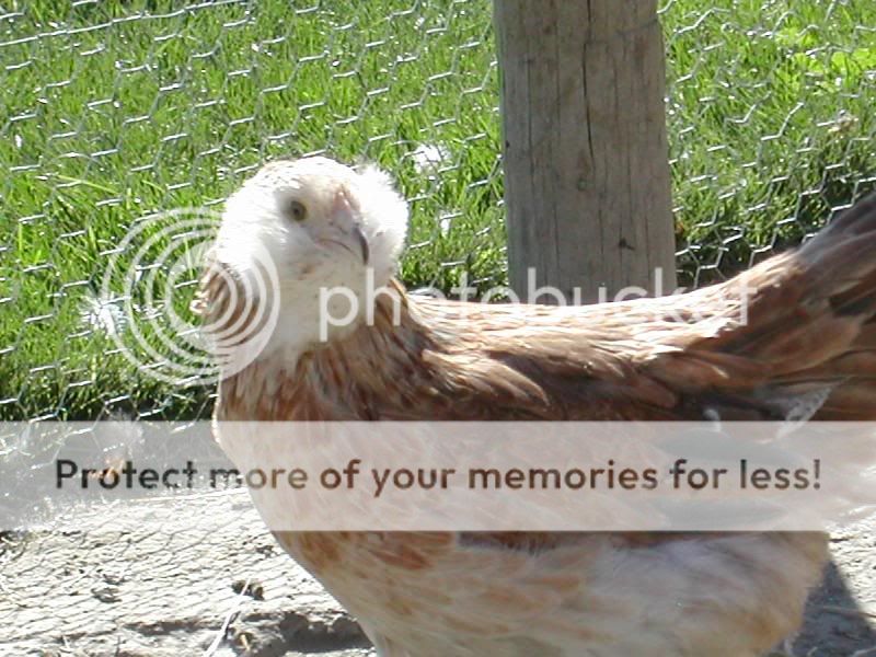 DSCN2717.jpg