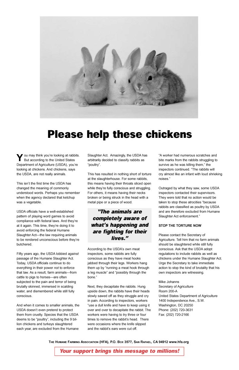 usda%20rabbits.jpg