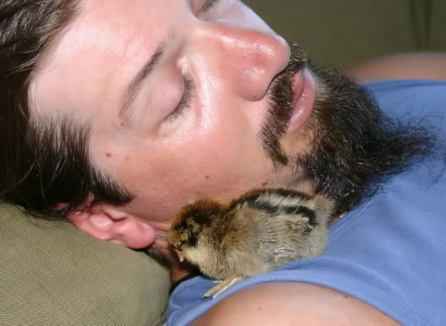 Mikesleepingwithchick.jpg