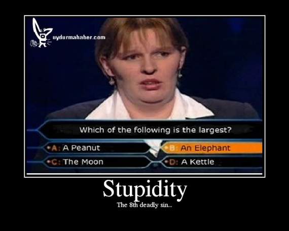 stupidity10.jpg