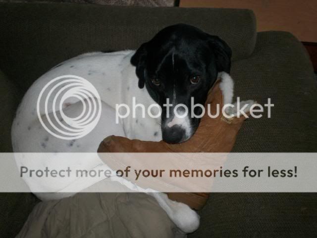 butts2003.jpg