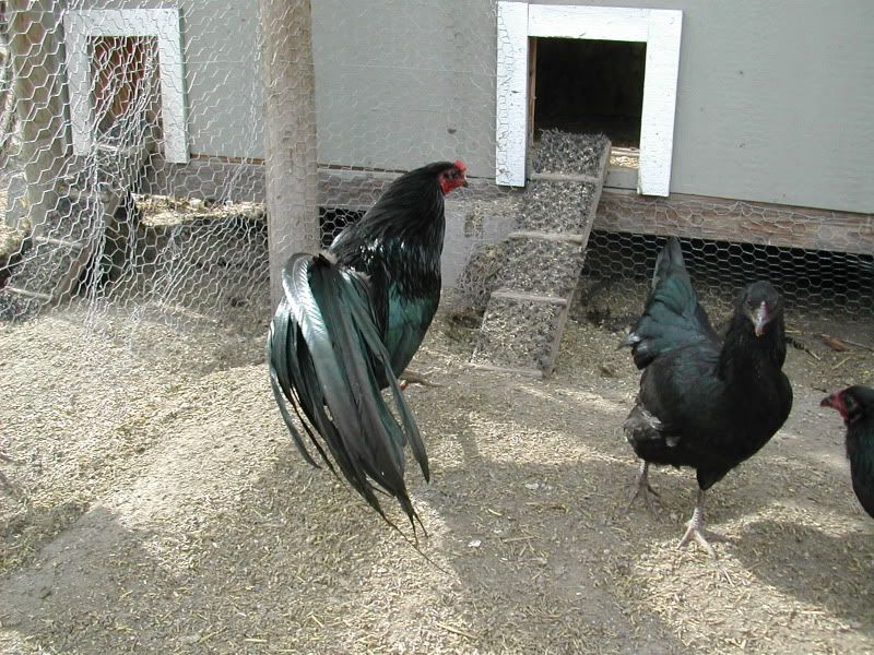 DSCN4021.jpg