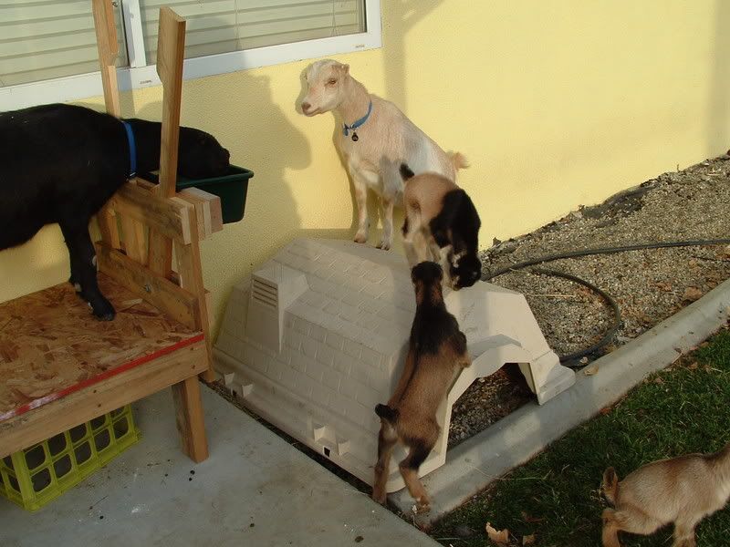 DSCF0047.jpg
