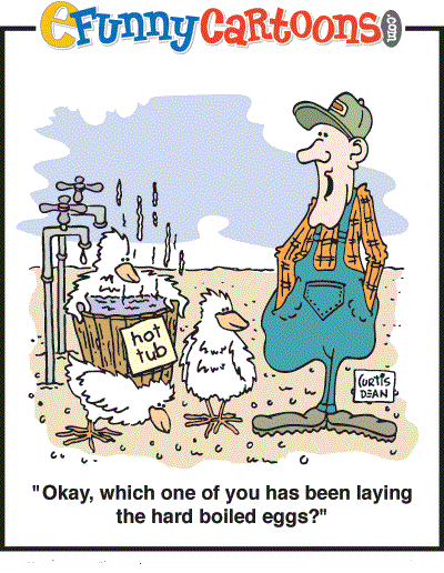 chicken-cartoon.gif