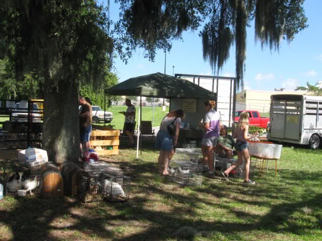 IMG_3260.jpg