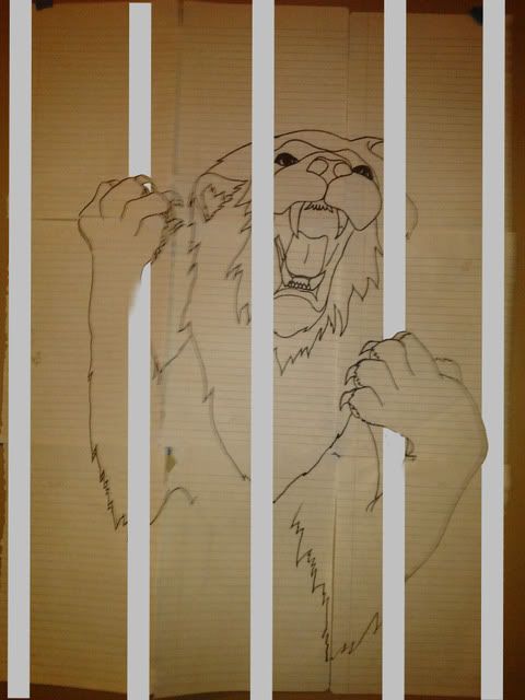 lion2-1.jpg