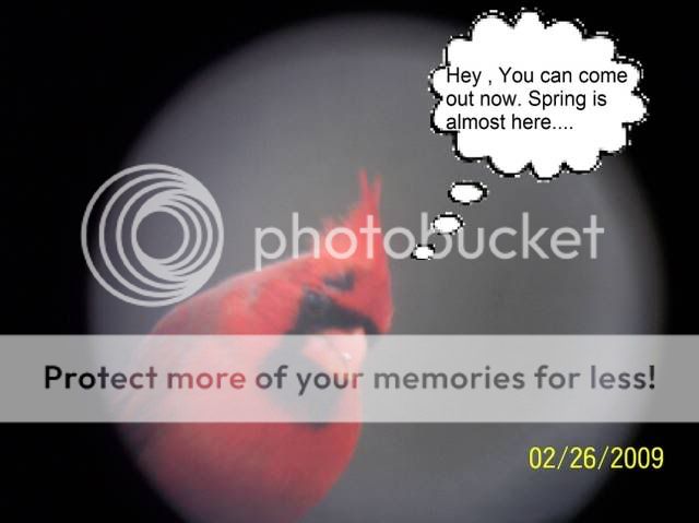 hellospring.jpg
