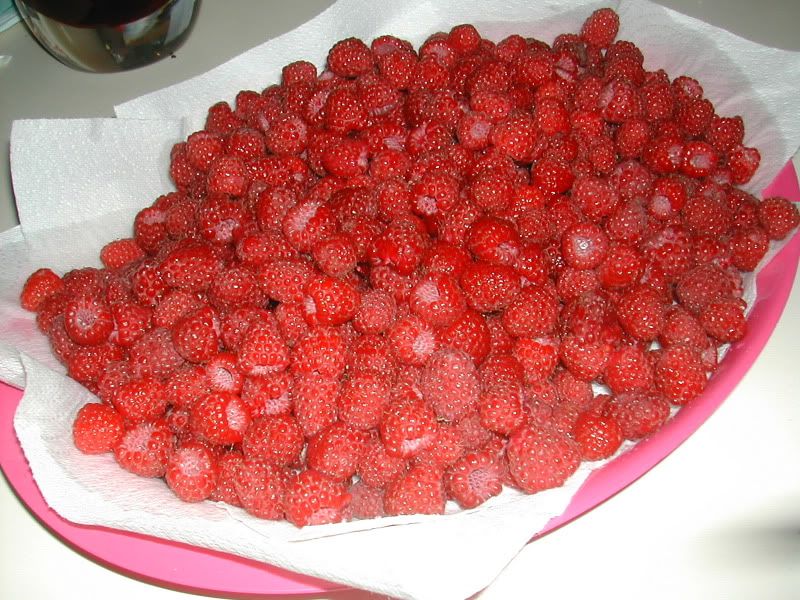 DSCN5377.jpg