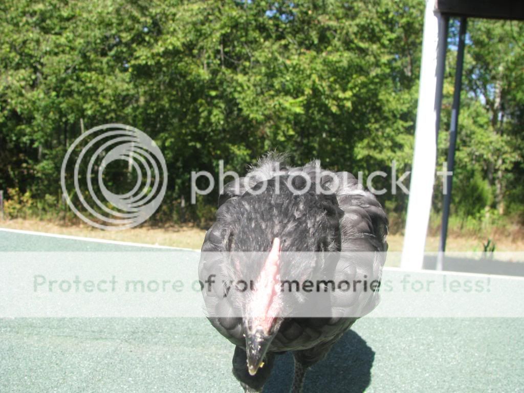 IMG_2139.jpg