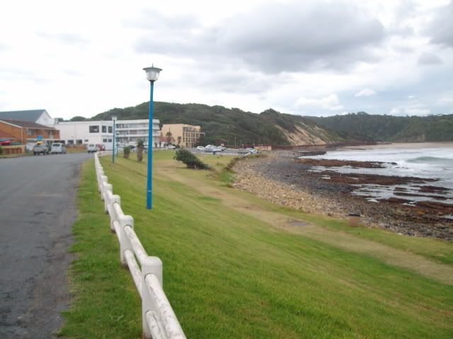SANY0931.jpg
