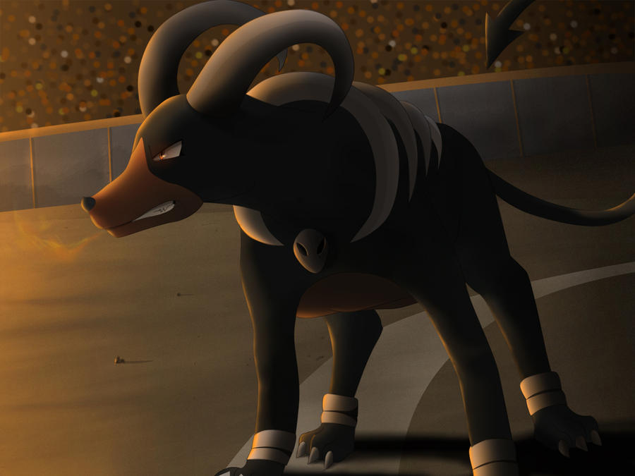 houndoom_by_all0412-d5f1zup.jpg