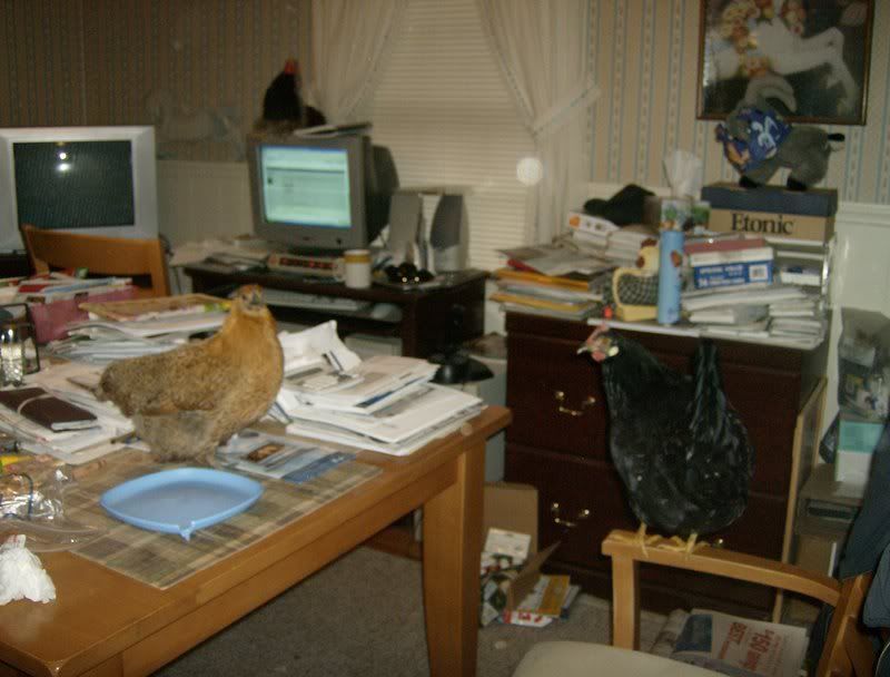 HPIM0091.jpg
