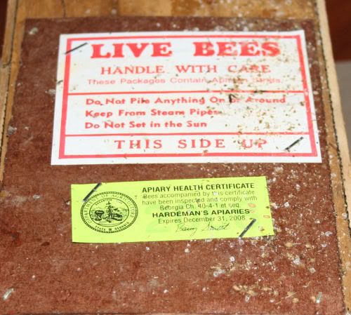 bees2.jpg