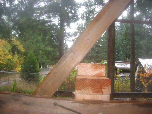 100_0001-15.jpg