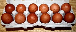 eggies-1.jpg