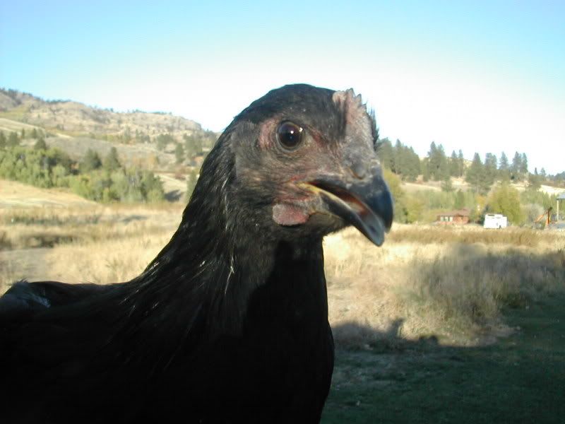 DSCN2873.jpg