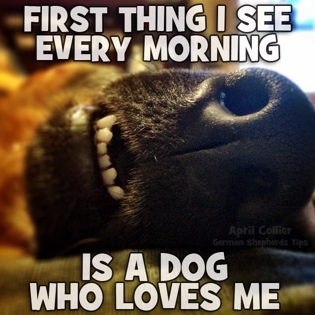 8d55a2866c2a76466abaf73e0004d1ec.jpg