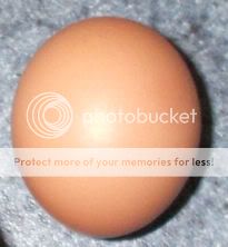 FartEgg.jpg