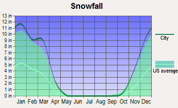 snwq19588.png