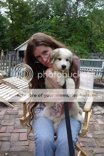Puppy2.jpg