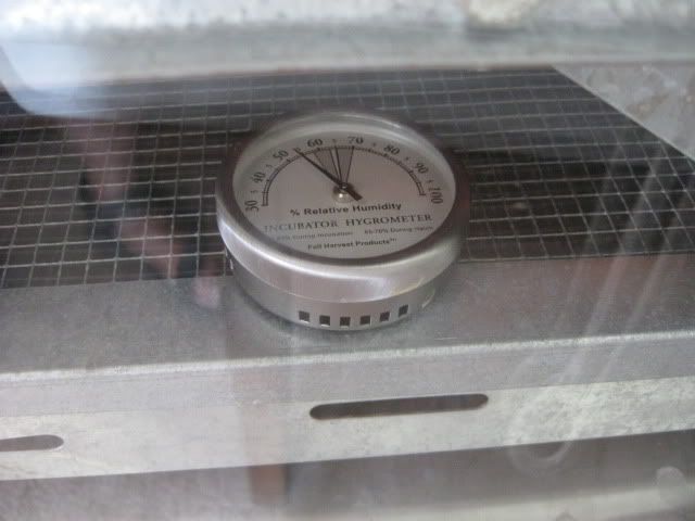 Pictureb084.jpg