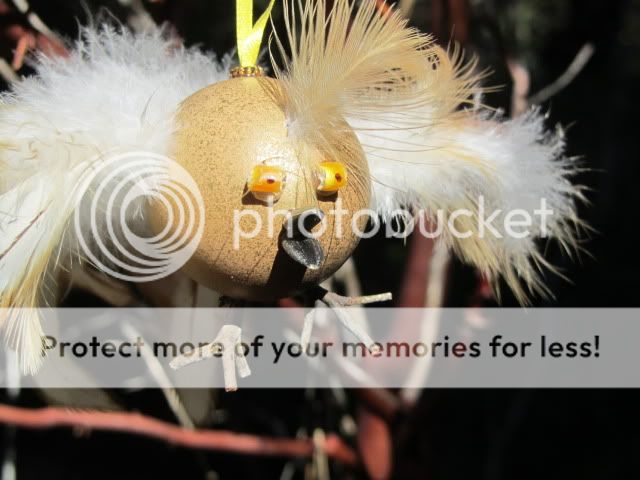 IMG_2684.jpg