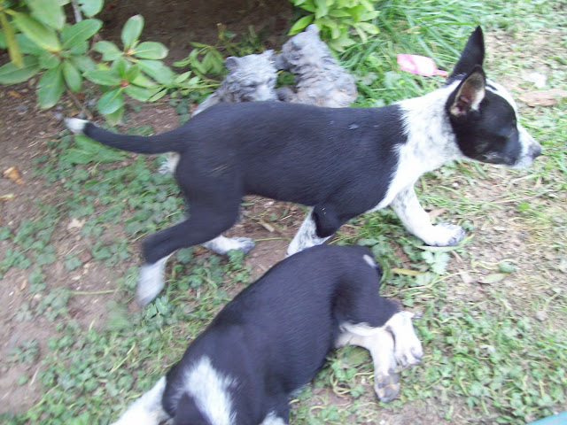 100_3434.JPG