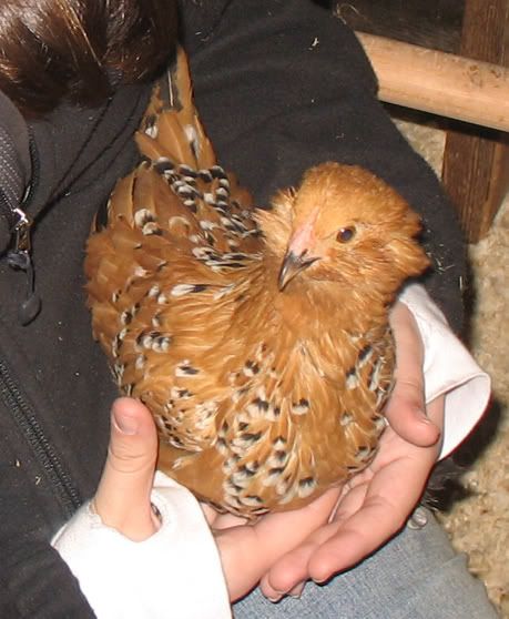 2-1-08005.jpg