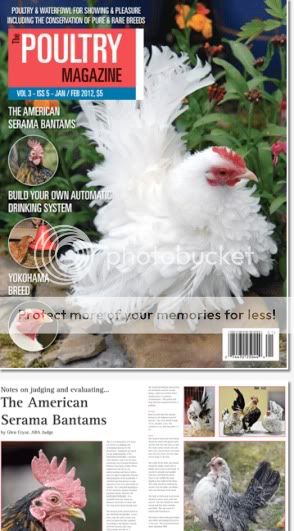 pmagcoverjan12.jpg
