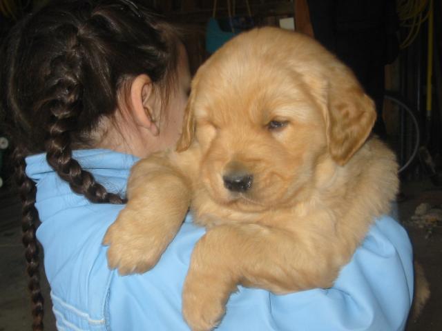 900x900px-LL-cc670047_23598_taffy_pull_2009_007.jpeg