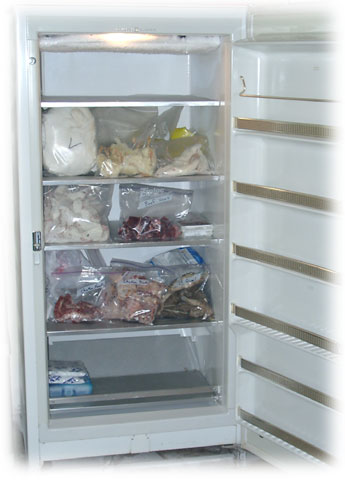 freezer.jpg