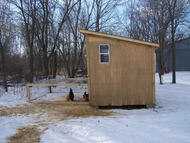 100_0250.jpg