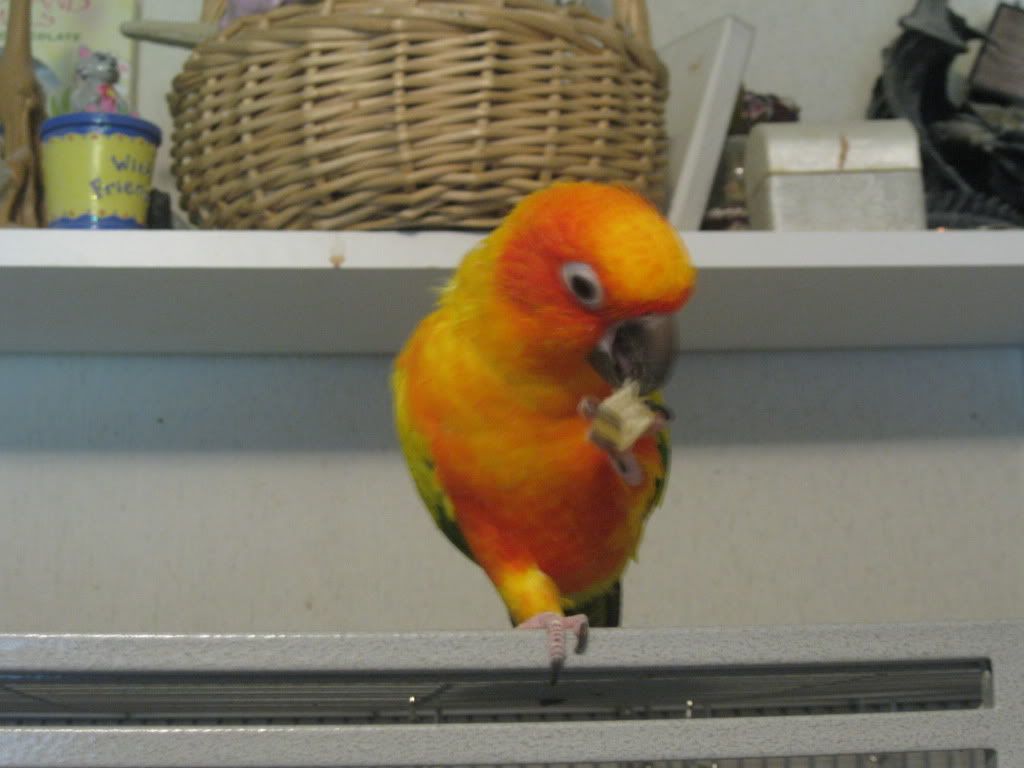 IMG_0369.jpg