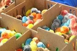 Easterchicks250.jpg