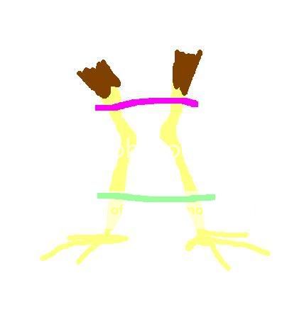 chicksplint.jpg