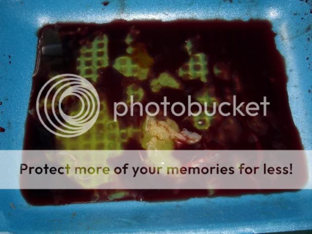 09Jul10008.jpg