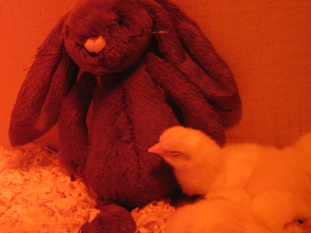 IMG_1720.jpg