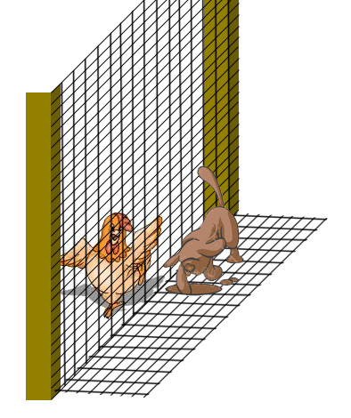 chickenwire.jpg