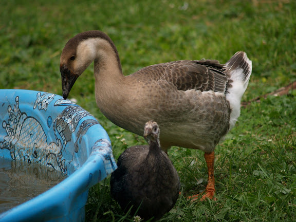 P1013645.JPG