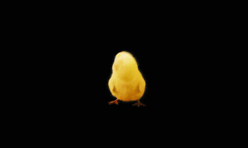U7di.gif