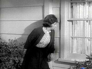 Gladys-Kravitz-bewitched-3701532-320-240.jpg
