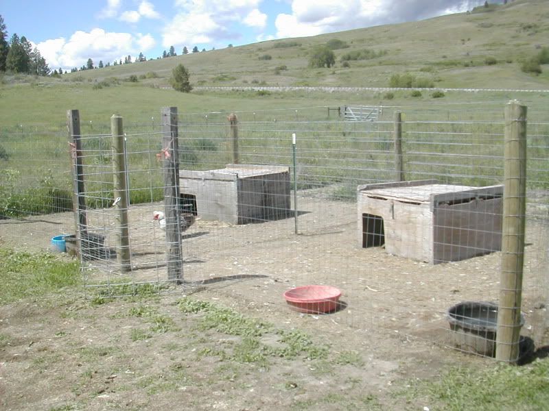 DSCN4322.jpg